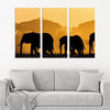 Elephants
