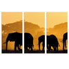 Elephants